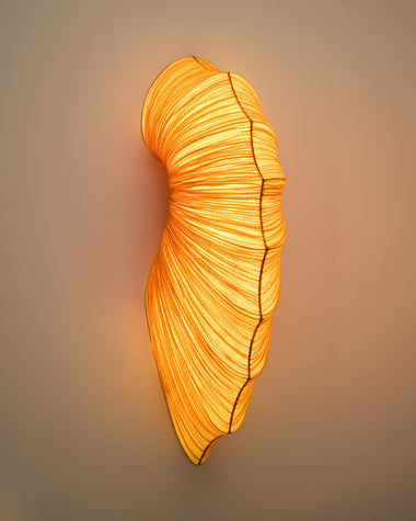 Contrare Wall Light