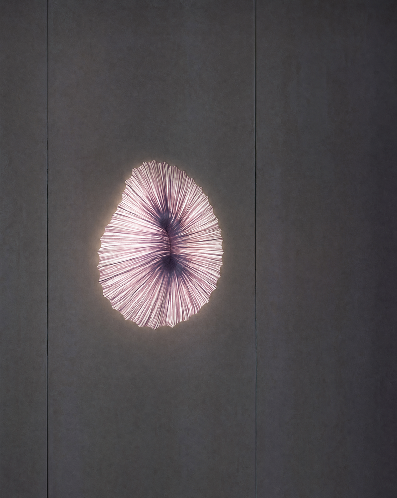 Coral Wall & Ceiling Light