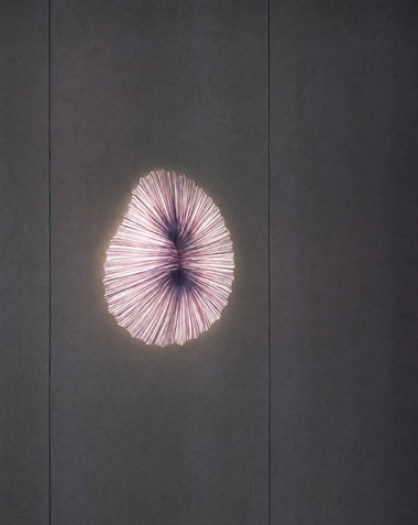 Coral Wall & Ceiling Light