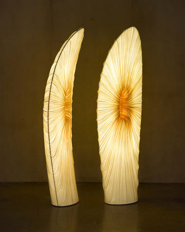 Maestro Floor Lamp