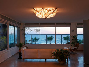 Zooid 1M Wall & Ceiling Light