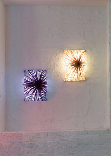 Zika Wall & Ceiling Light