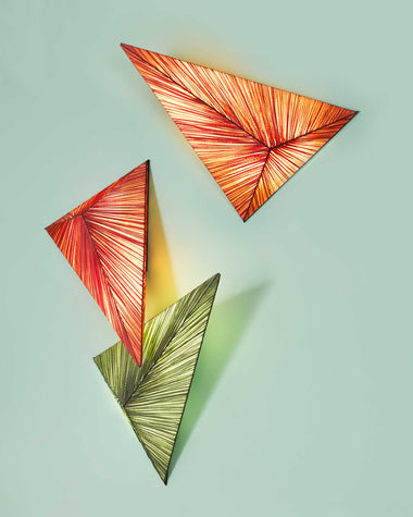 Zooid Wall & Ceiling Light