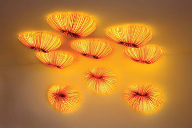 Baby Coral wall / ceiling