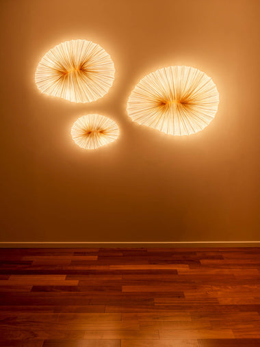 Baby Coral wall / ceiling
