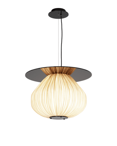 code 130˚ C3+Plate Pendant Lamp