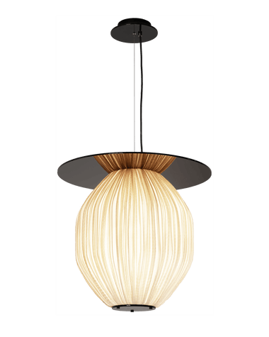 code 130˚ C4+Plate Pendant Lamp