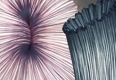 Coral Wall & Ceiling Light