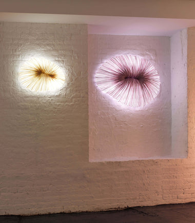 Baby Coral wall / ceiling