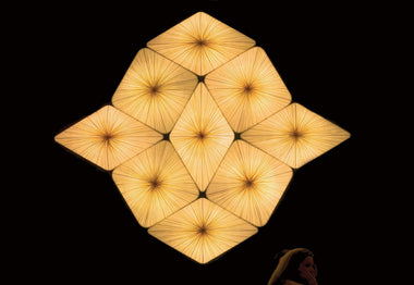 Forever Wall & Ceiling Light