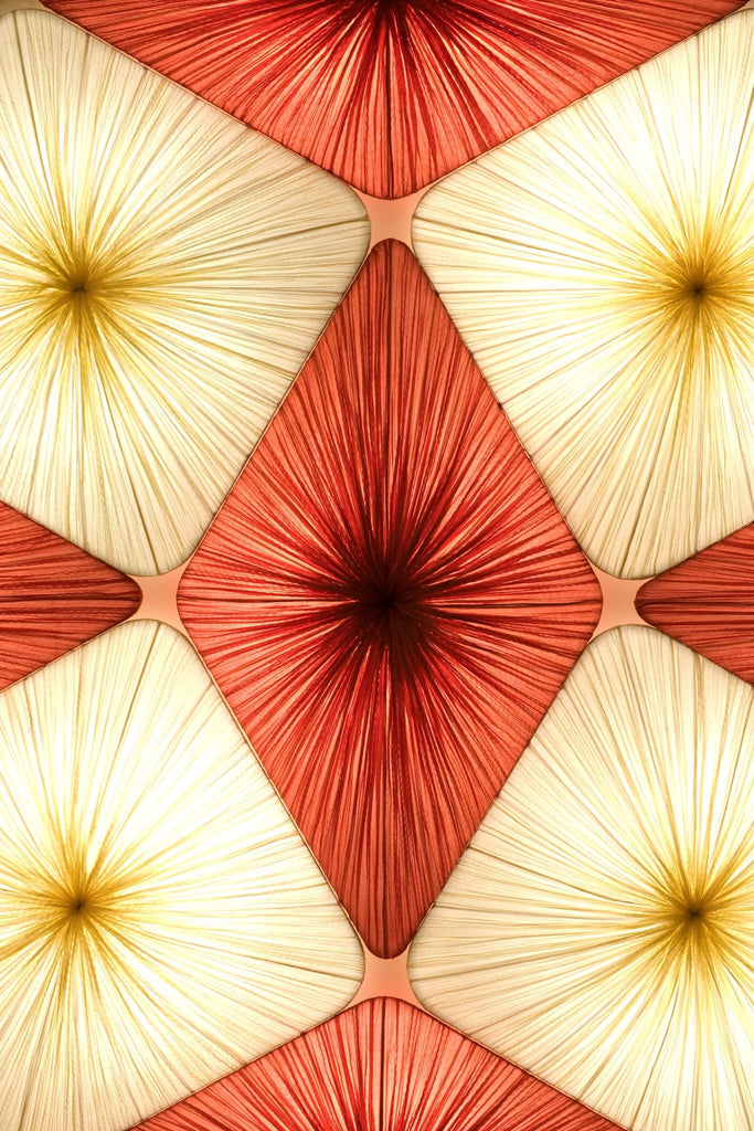 Forever Wall & Ceiling Light