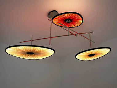 Lake Dorian Ceiling Light 3