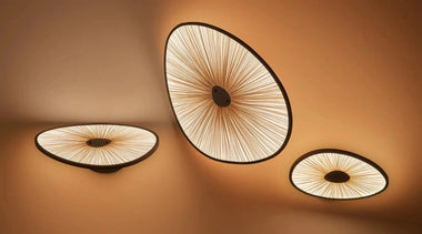 Lake Dorian Wall Light