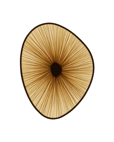Lake Doiran Mirror 2 Wall Light