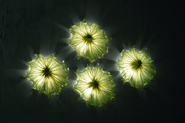 Medusa Wall Light