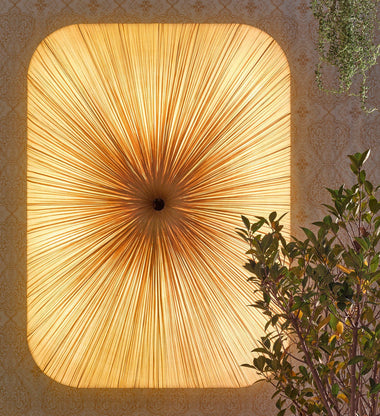 Nara Wall and Ceiling Light