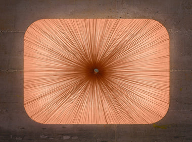 Nara Wall and Ceiling Light