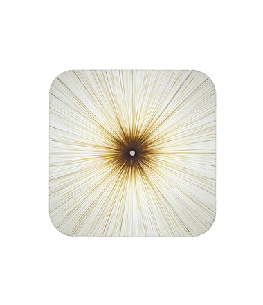Nara Wall and Ceiling Light