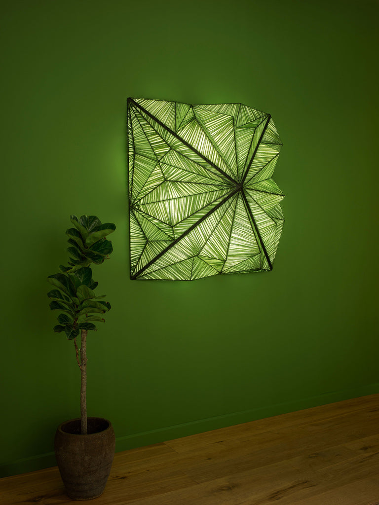 Zooid 1M Wall & Ceiling Light