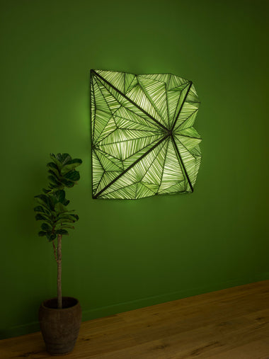Zooid 1M Wall & Ceiling Light