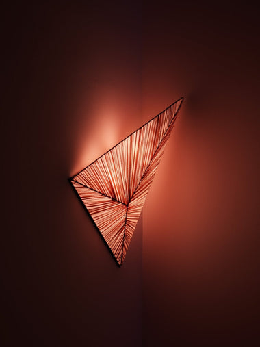 Zooid Wall & Ceiling Light