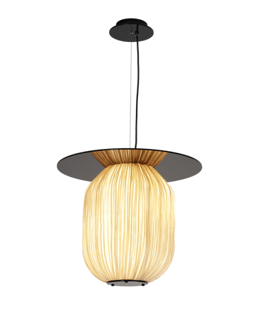 plate pendant lamp gold