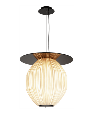 code 130˚ C4+Plate Pendant Lamp