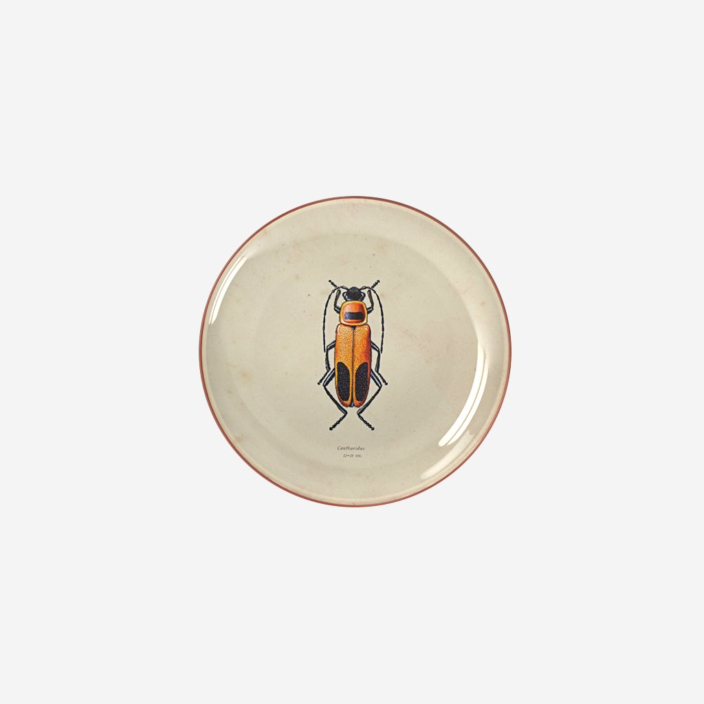 Decorative plate - Beetle