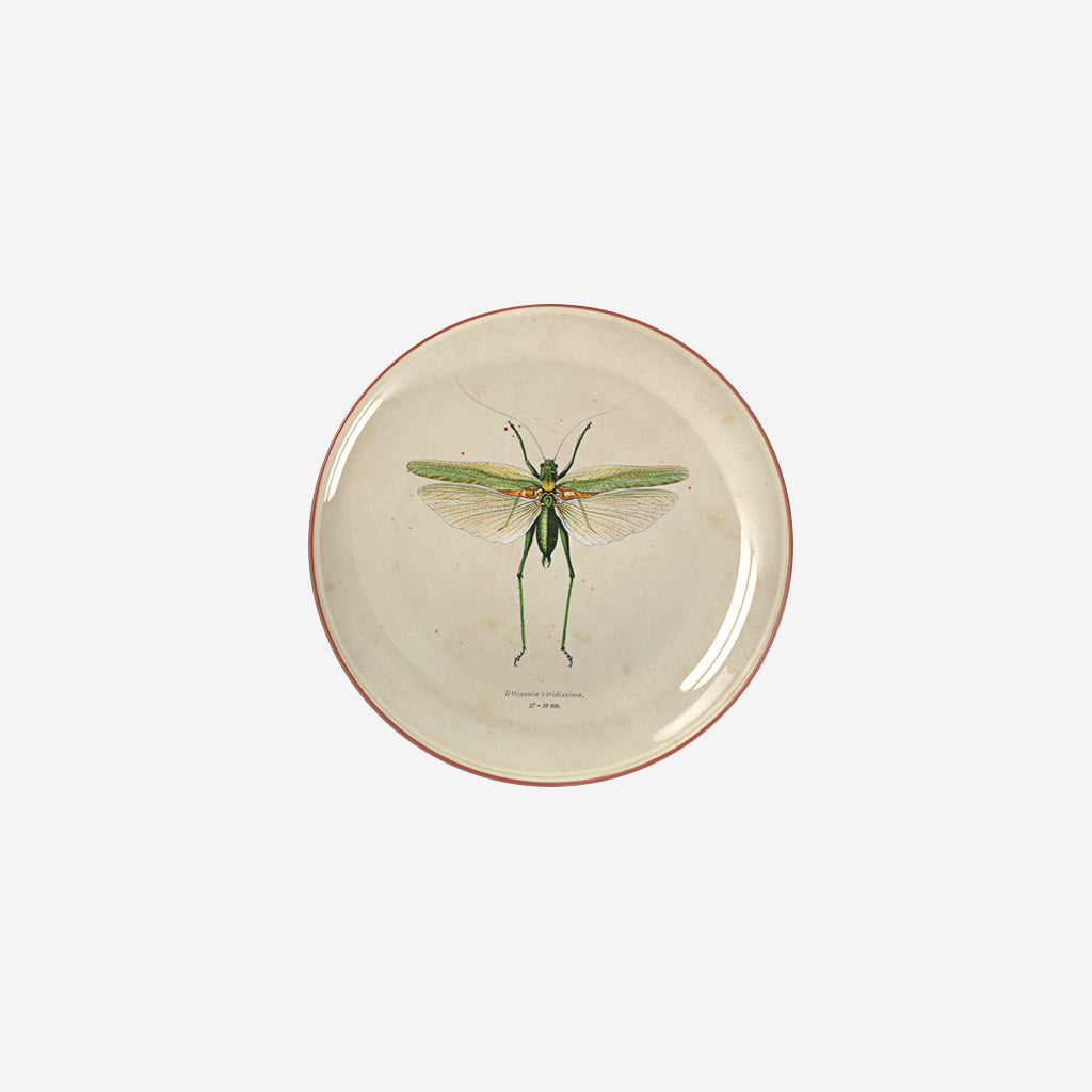 Decorative plate  - Bug #3